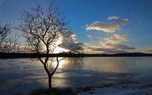 Lake, ice, winter, tree, sunset, dusk wallpaper thumb