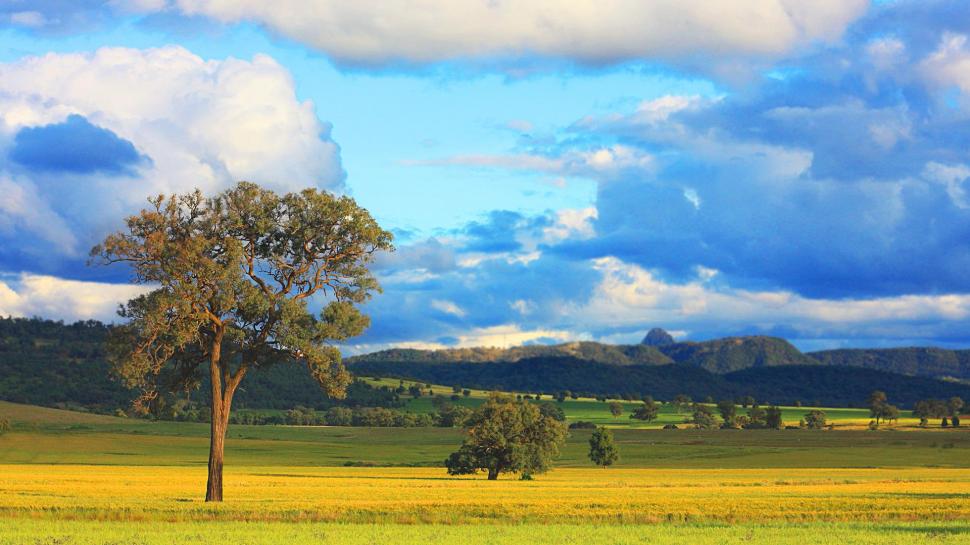 Beautiful Lscape In Australia wallpaper,trees HD wallpaper,plains HD wallpaper,mountains HD wallpaper,clouds HD wallpaper,nature & landscapes HD wallpaper,1920x1080 wallpaper