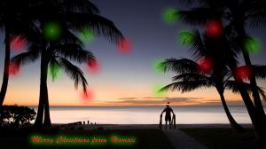 christmas in hawaii Christmas dark holidays island lights palms Santa HD wallpaper thumb