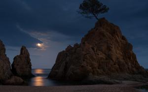 Tree Rock Stone Moonlight Beach Night HD wallpaper thumb