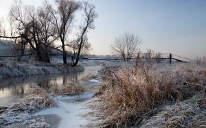 Winter, frost, dawn, river, trees wallpaper thumb