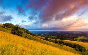 South Downs, England, morning, dawn, clouds, fields, hills, trees wallpaper thumb