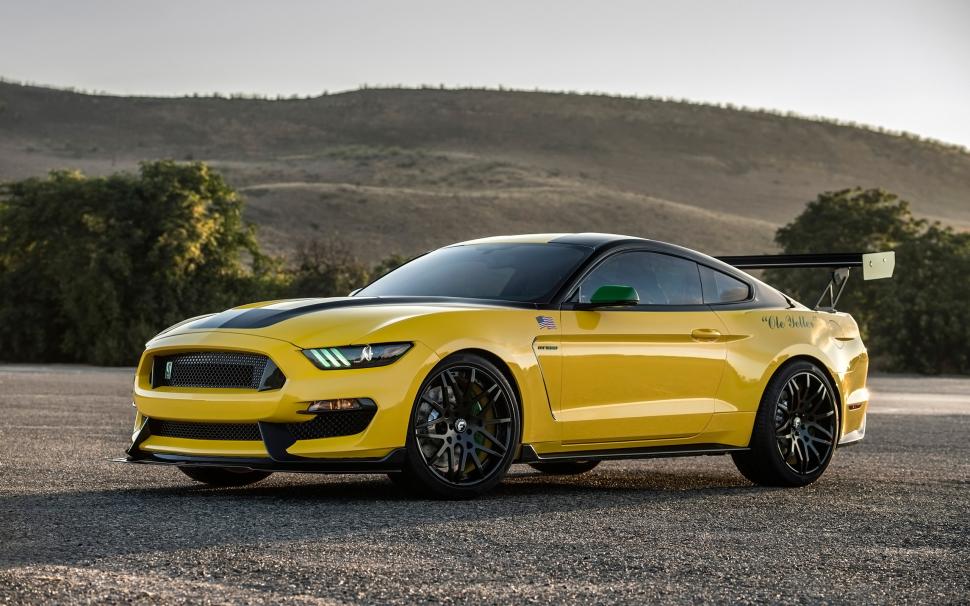 2016 EAA AirVenture Ford Shelby GT350 Mustang Ole YellerSimilar Car Wallpapers wallpaper,ford HD wallpaper,shelby HD wallpaper,mustang HD wallpaper,gt350 HD wallpaper,2016 HD wallpaper,airventure HD wallpaper,yeller HD wallpaper,2560x1600 wallpaper