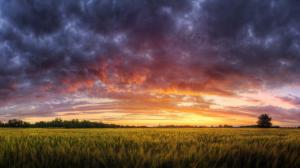 Colorful dusk sky above the field wallpaper thumb