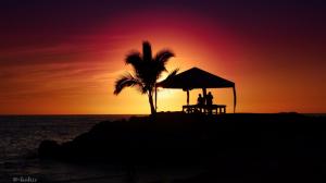 Tropical Sunset Silhouette Palm Tree HD wallpaper thumb