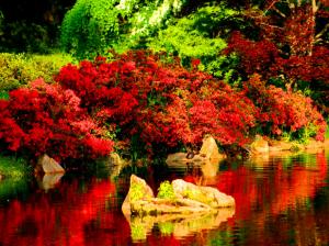 Beautiful Red Reflections In River wallpaper thumb