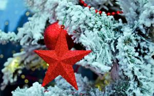 *** Star Of Bethlehem On Christmas Tree *** wallpaper thumb