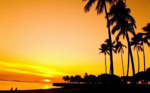 Sunset Palm Beach wallpaper thumb