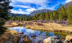 Scenery Mountains Forests Stream Nature wallpaper thumb