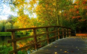 HDR scenery, park, leaves, trees, forest, autumn, wood bridge wallpaper thumb