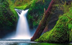 Punch Bowl Falls, Eagle Creek, Columbia River Gorge, Oregon, USA, moss wallpaper thumb