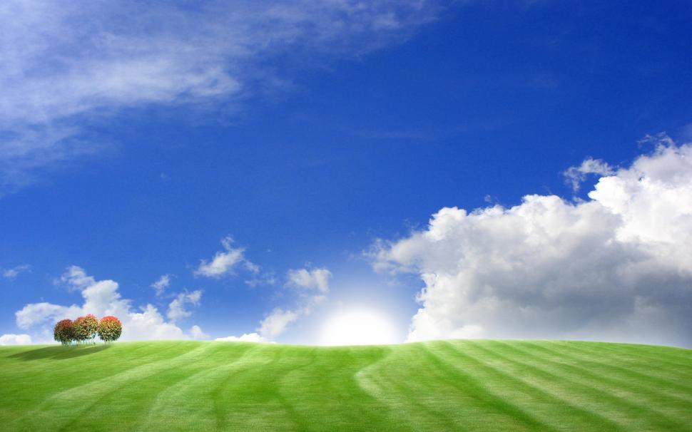 Green Field and Blue Sky wallpaper,Scenery HD wallpaper,1920x1200 wallpaper