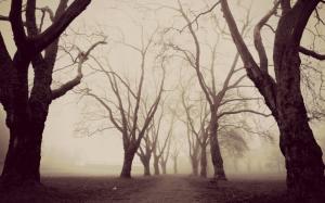 Nature, Trees, Winter, Morning, Path, Bench, Mist, Sepia, Park, Mysterious wallpaper thumb