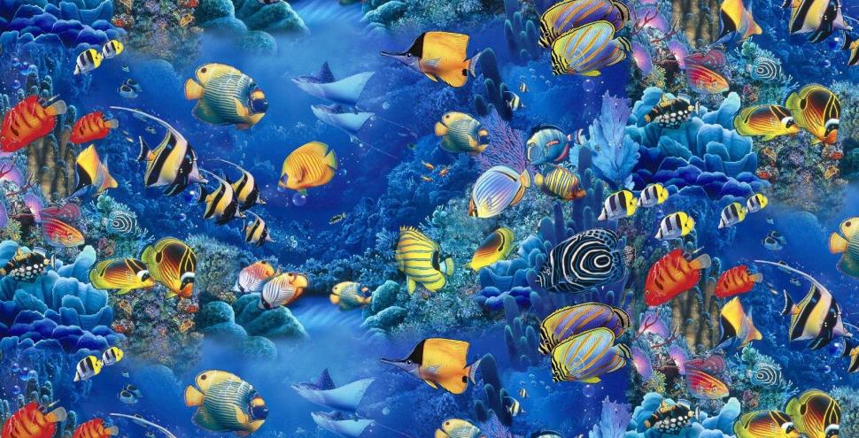 Aquarium Fishes wallpaper,paintings wallpaper,underwater wallpaper,aquarium wallpaper,fishes wallpaper,1600x817 wallpaper