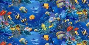 Aquarium Fishes wallpaper thumb