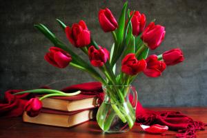 Red tulips vases flower arrangements books wallpaper thumb