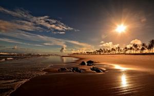 Sunset, coast, beach, palm trees, Bahia, Brazil wallpaper thumb