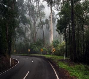 Road, Trees, Calm, Nature wallpaper thumb