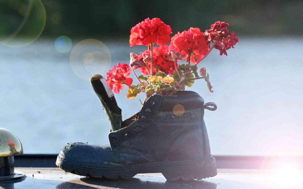 Flowers & An Old Boot wallpaper,military HD wallpaper,seasons HD wallpaper,vases HD wallpaper,shoes HD wallpaper,flowers HD wallpaper,gardens HD wallpaper,boots HD wallpaper,still life HD wallpaper,nature & landscapes HD wallpaper,1920x1200 wallpaper