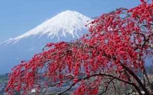 vernal equinox in japan, japan, sakura, mountains wallpaper thumb