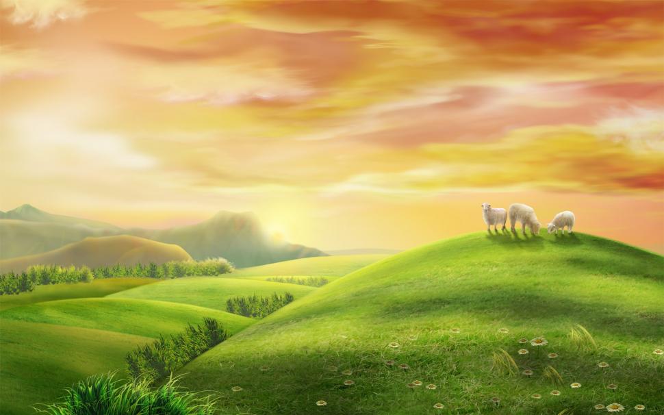 Sheep On Green Hill wallpaper,Scenery HD wallpaper,1920x1200 wallpaper