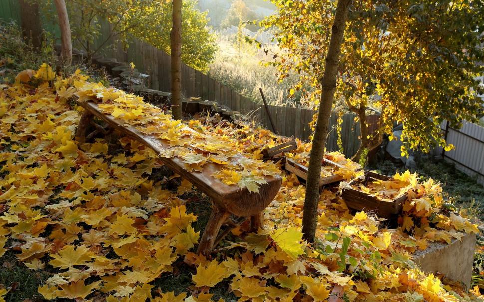 Leaves, Fall, Trees, Bench, Nature wallpaper,leaves HD wallpaper,fall HD wallpaper,trees HD wallpaper,bench HD wallpaper,1920x1200 wallpaper