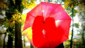 Forest, lovers, red umbrella, kiss, desktop wallpaper thumb