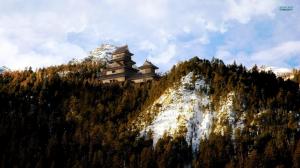 Mountain Forest Temple In Japan wallpaper thumb
