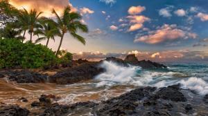 Maui, Hawaii, quiet, ocean, rocks, palm trees, beach wallpaper thumb