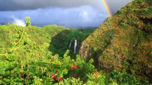Rainbow In Opaekaa Falls Hawaii wallpaper thumb