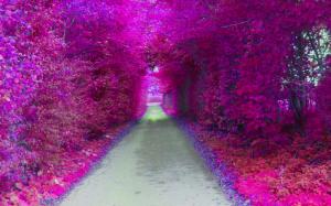 Purple Tunnel wallpaper thumb