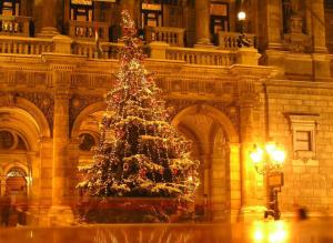 tree, holiday, garland, square, new year, christmas wallpaper thumb
