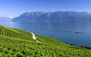 Switzerland, the Alps, lake, mountains, summer wallpaper thumb