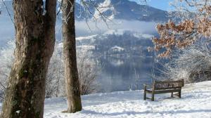 View Of The Lake In Winter wallpaper thumb