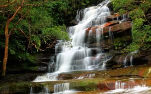 Falls, Waterfall, Nature, Scenery, Trees wallpaper thumb