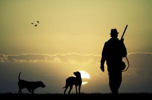 Animals, Dog, Bird, Sun, Men, Hunting, Gun, Rifles wallpaper thumb