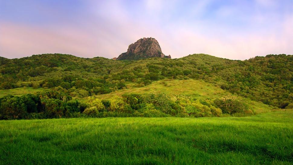Hill Covered With Green Grass  wallpaper,Scenery HD wallpaper,1920x1080 wallpaper