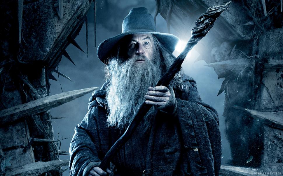 Gandalf in The Hobbit 2 wallpaper,hobbit HD wallpaper,gandalf HD wallpaper,2880x1800 wallpaper