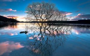 Lake, trees, water reflection, sunset wallpaper thumb