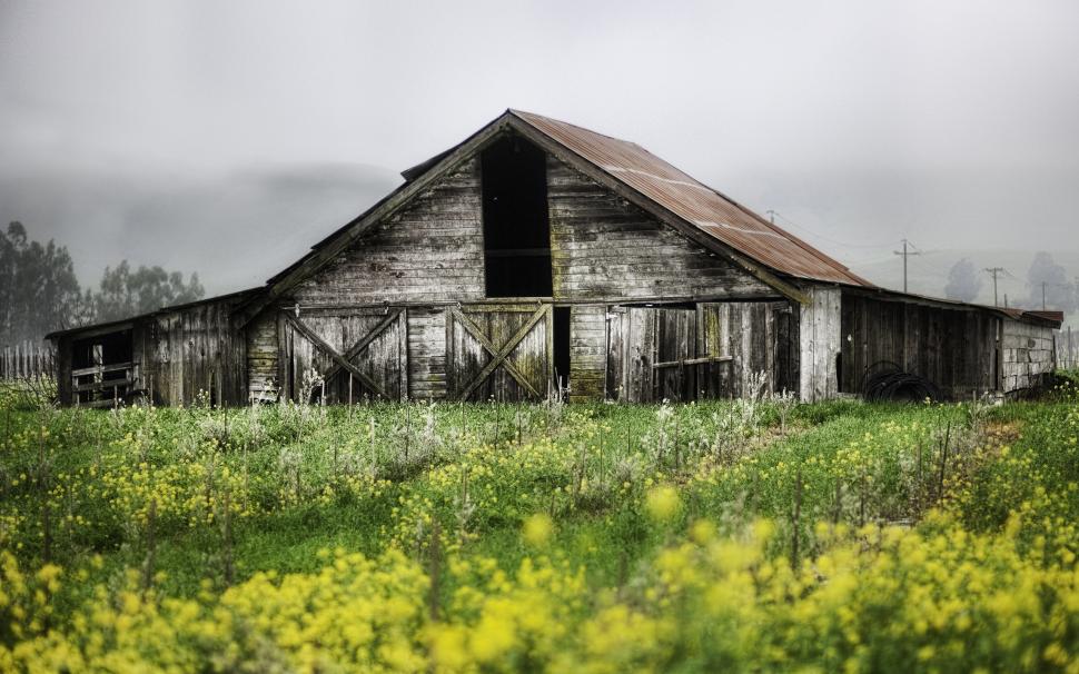Spring landscape of farms, abandoned wooden house wallpaper,Spring HD wallpaper,Landscape HD wallpaper,Farm HD wallpaper,Abandoned HD wallpaper,Wooden HD wallpaper,House HD wallpaper,2560x1600 wallpaper