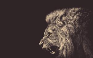 Lion Roar wallpaper thumb