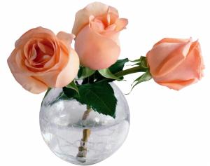 Three Roses In A Vase wallpaper thumb