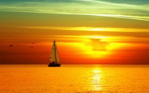 decline, sailing vessel, birds, orange, sun, lunar path, sea, horizon, sky wallpaper thumb