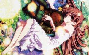 Sleeping anime girl in the grass wallpaper thumb