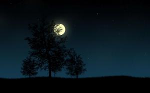 Moonlight watching over the tree wallpaper thumb