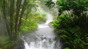 Waterfall Green Tropical Forest Mist Steam HD wallpaper thumb