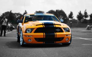 Shelby GT500 yellow car front view wallpaper thumb