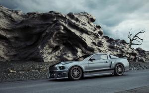 Mustang GT 500 Car wallpaper thumb