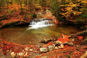 Seasons Autumn Forests Waterfalls Foliage Nature wallpaper thumb