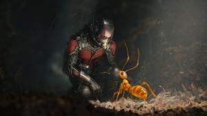 Ant-man, marvel, comic wallpaper thumb